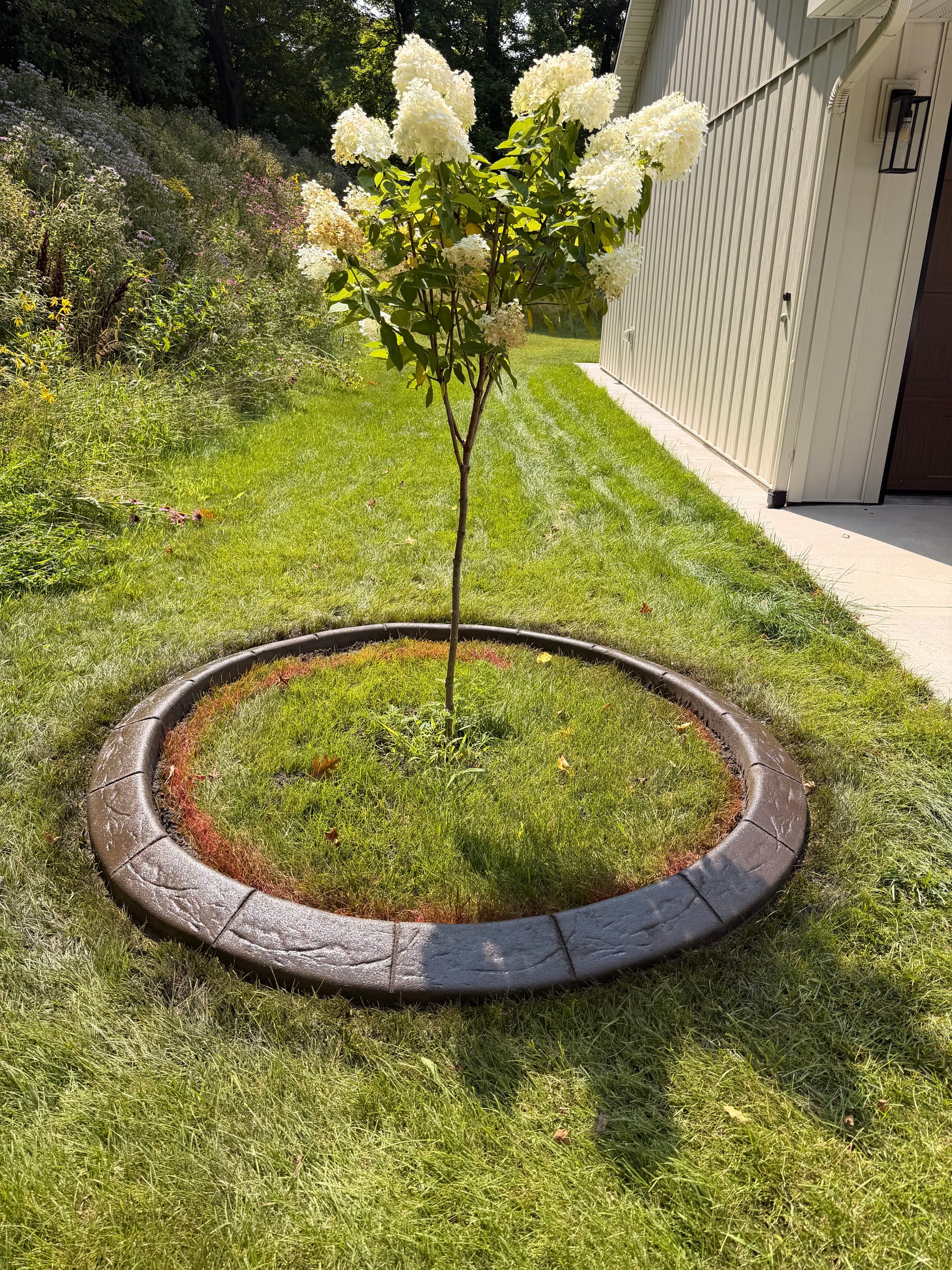 Gallery photos for Concrete Curbing Around Trees and Beds in Swanville Minnesota: Image #3