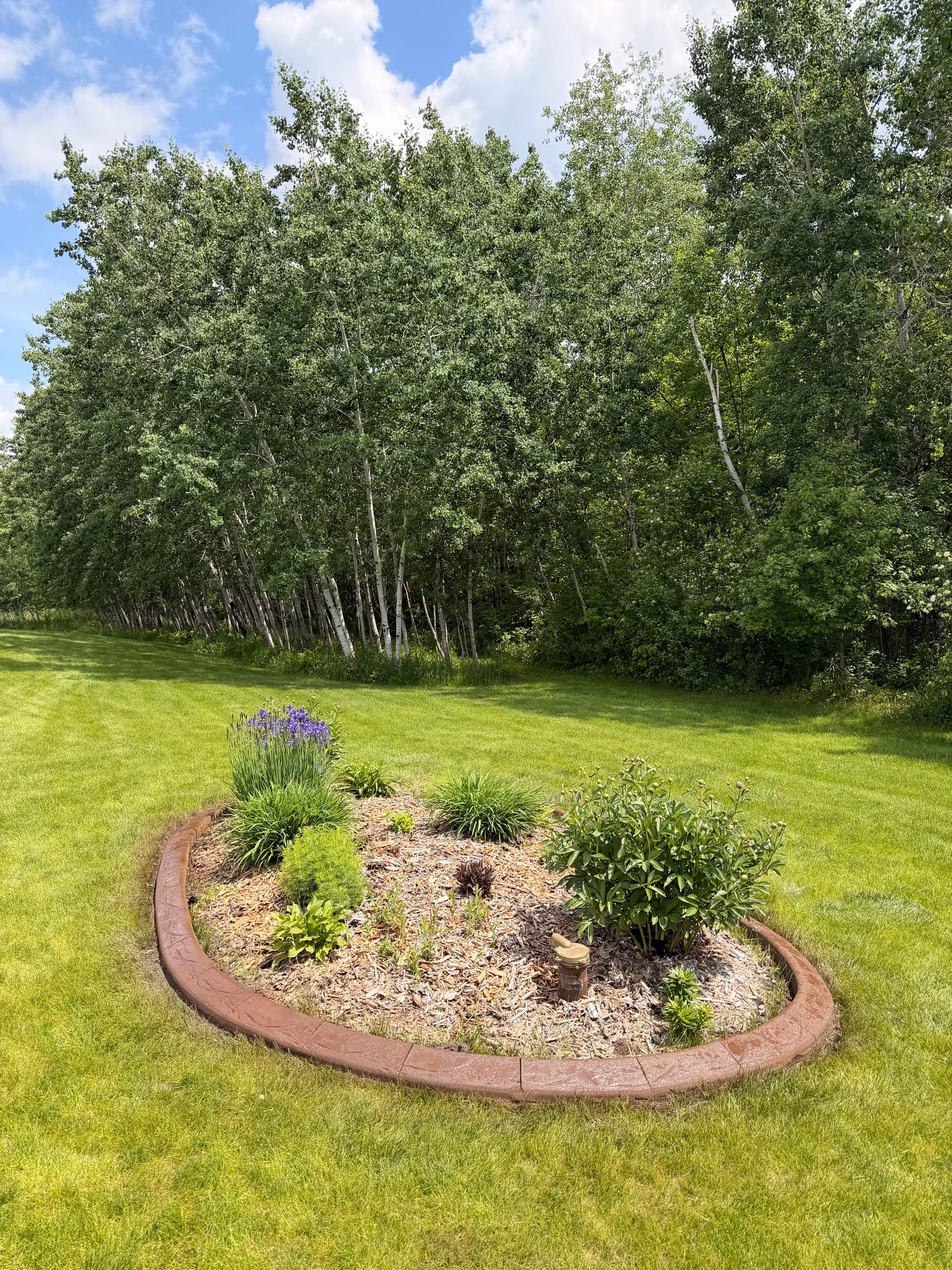 Gallery photos for Concrete Curbing with Spanish Stamp Finish in Sartell: Image #1