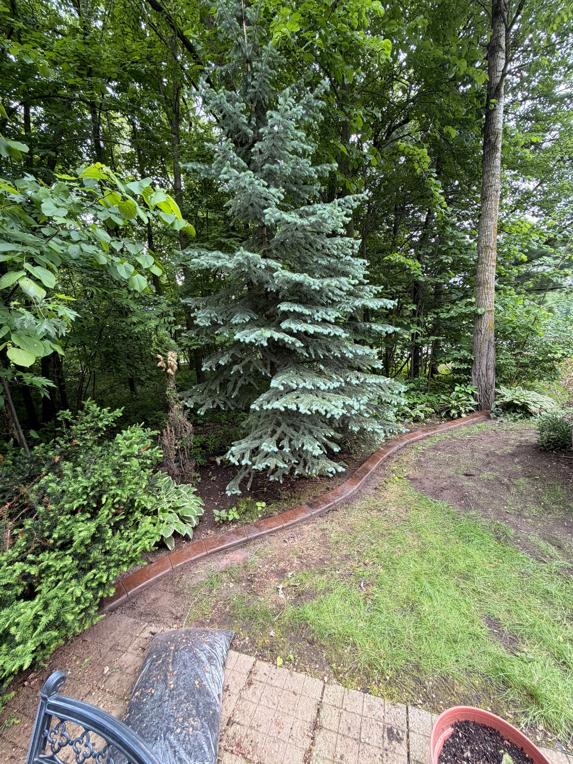 Gallery photos for Concrete Curbing with a Walnut and Charcoal Blend in Royalton: Image #1