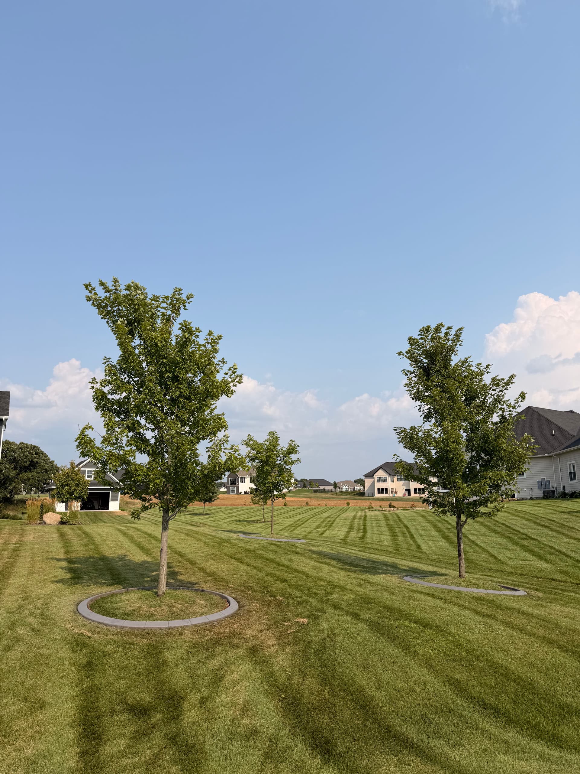 Concrete Curb Edging That Keeps Your Yard Looking Sharp in Andover MN image
