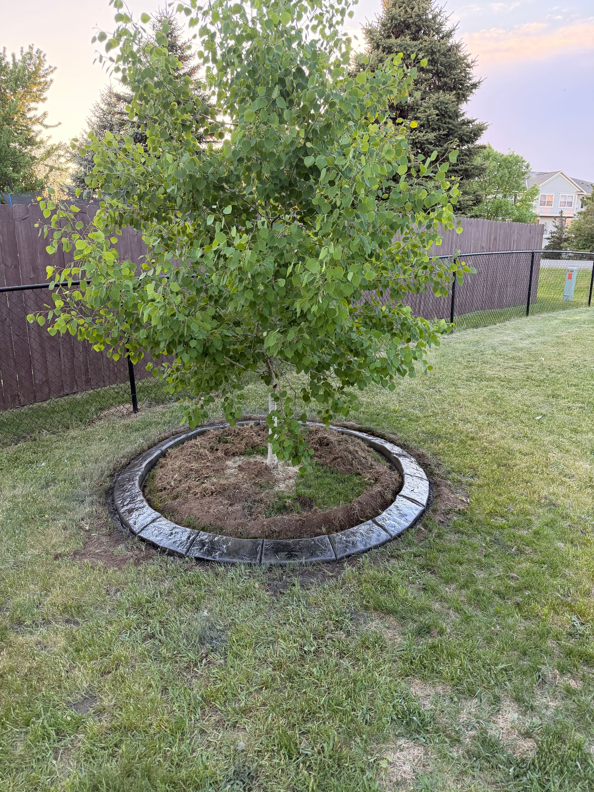 Gallery photos for Concrete Curbing with Spanish Stamp in Sauk Rapids: Image #3