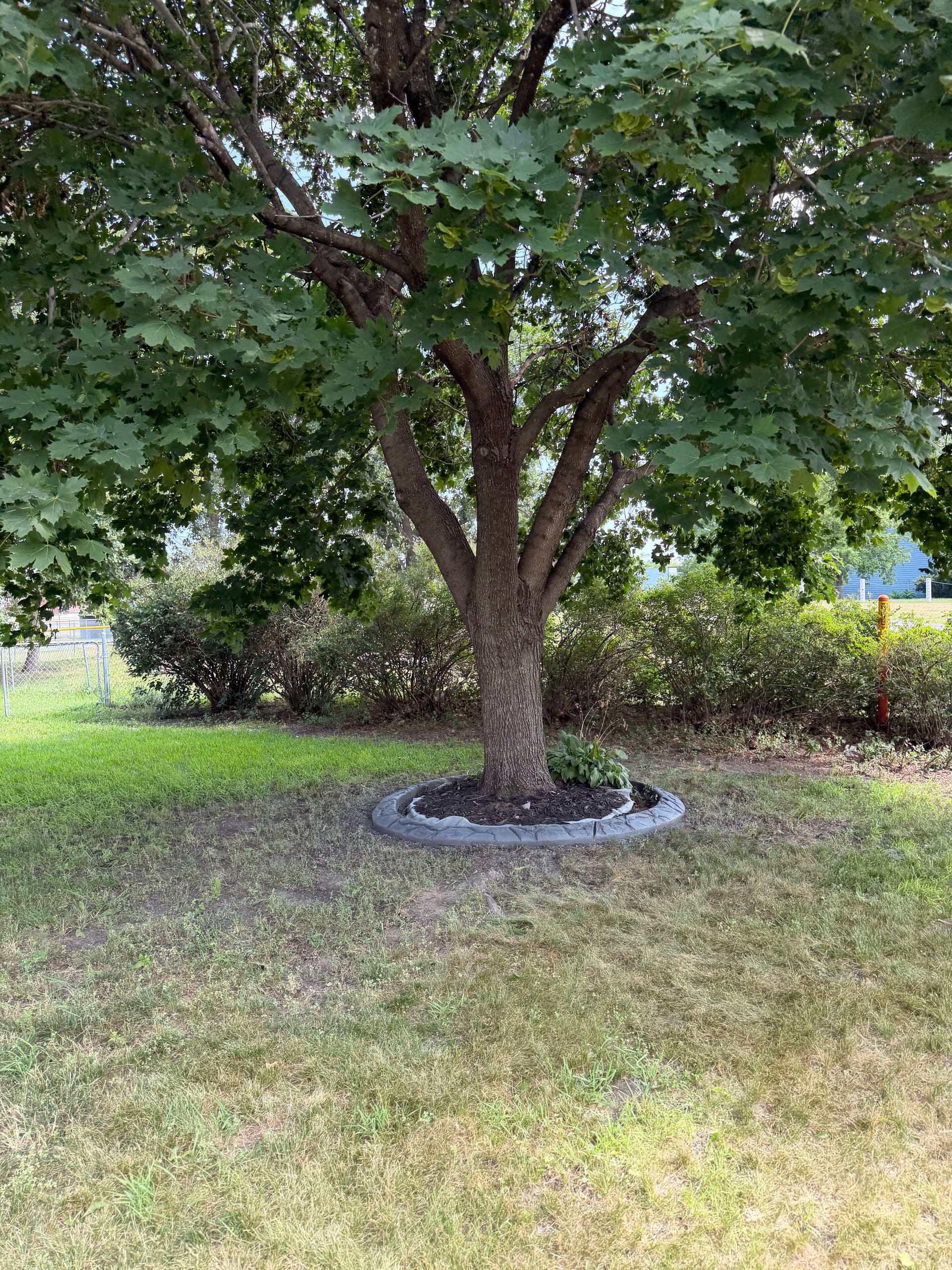 Gallery photos for Concrete Curb Landscape Edging Done Right in Zimmerman MN: Image #1