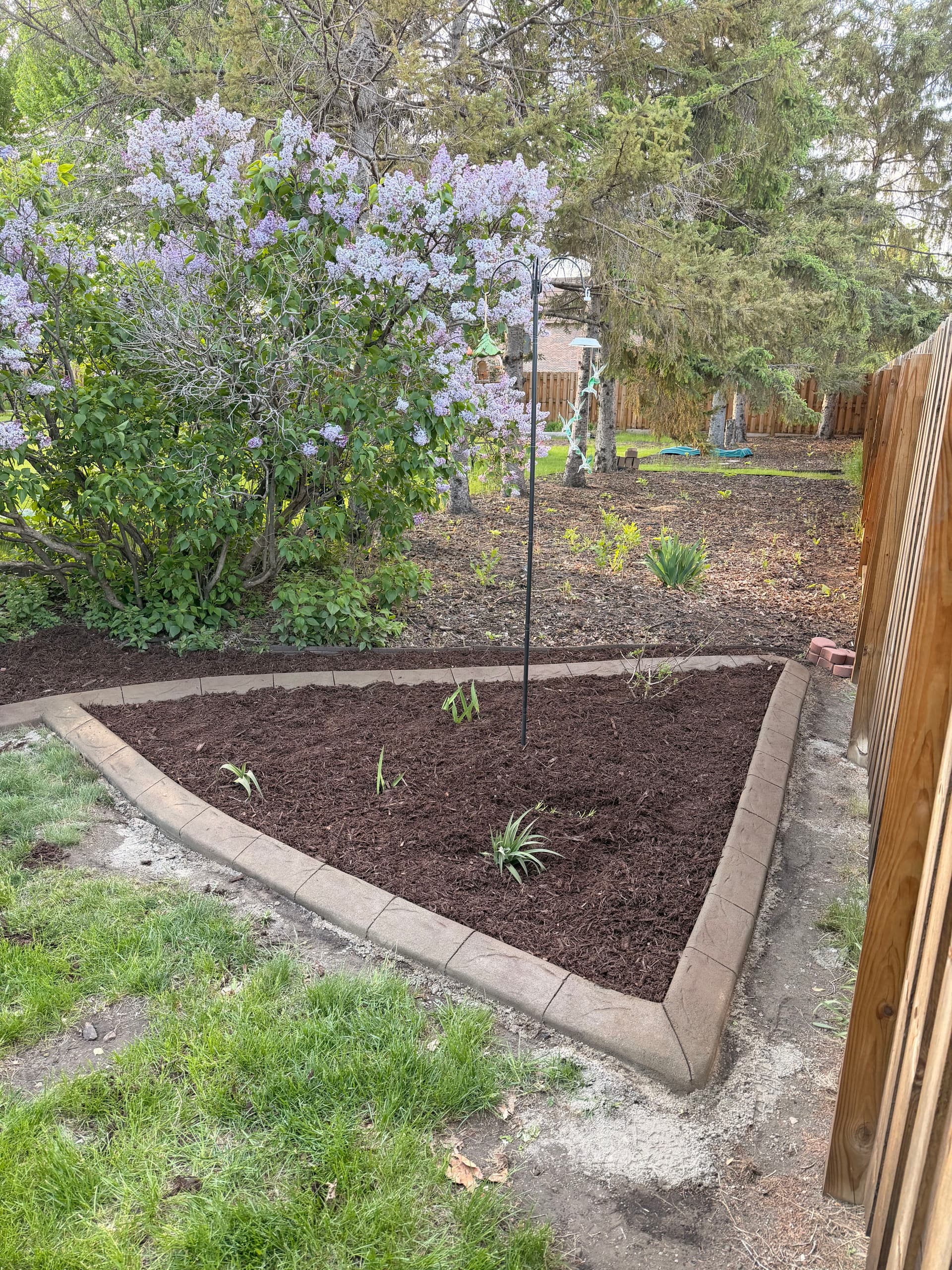 Gallery photos for Concrete Curbing Done Right in St. Cloud: Image #3