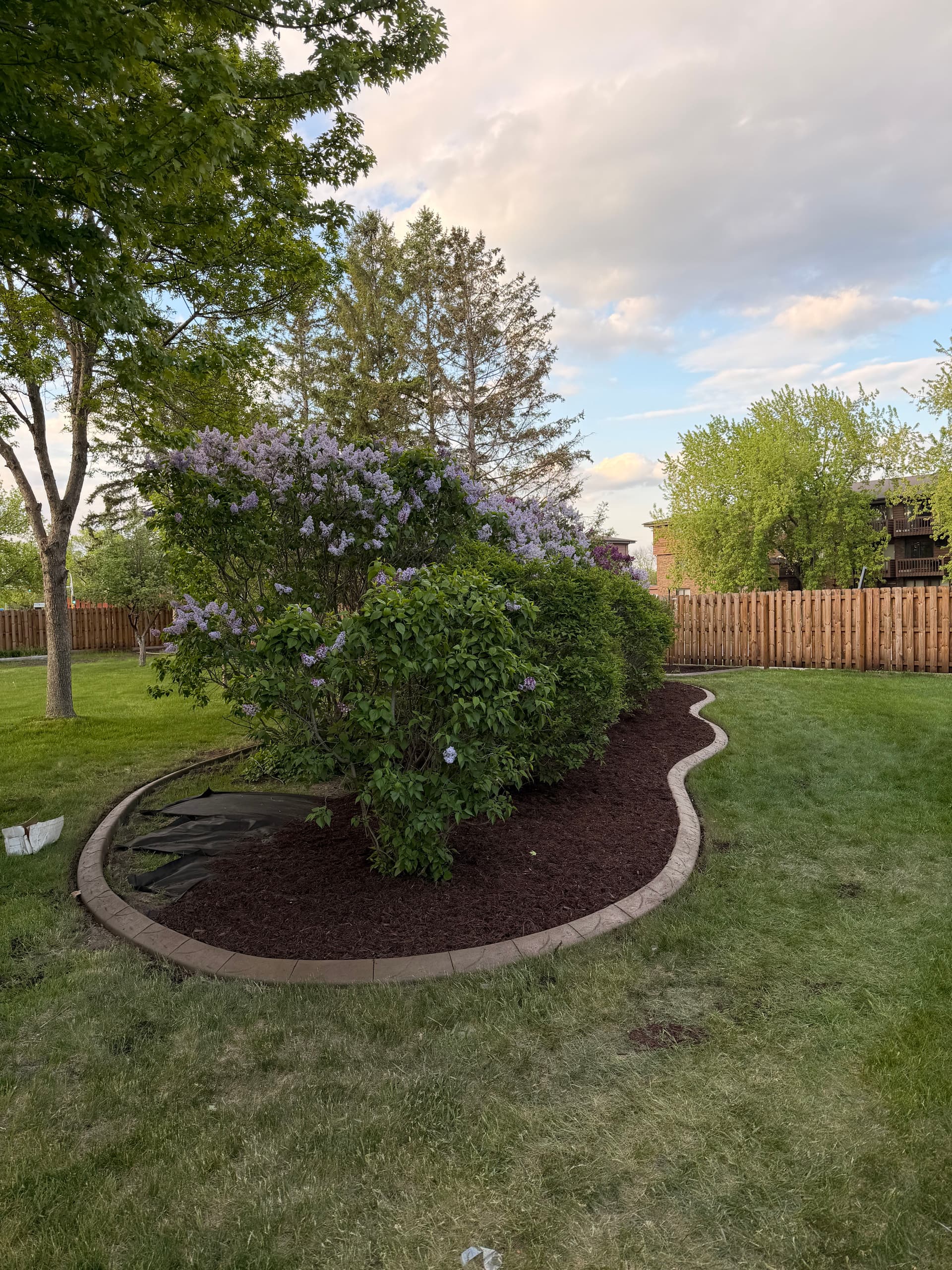 Concrete Curbing Done Right in St. Cloud image
