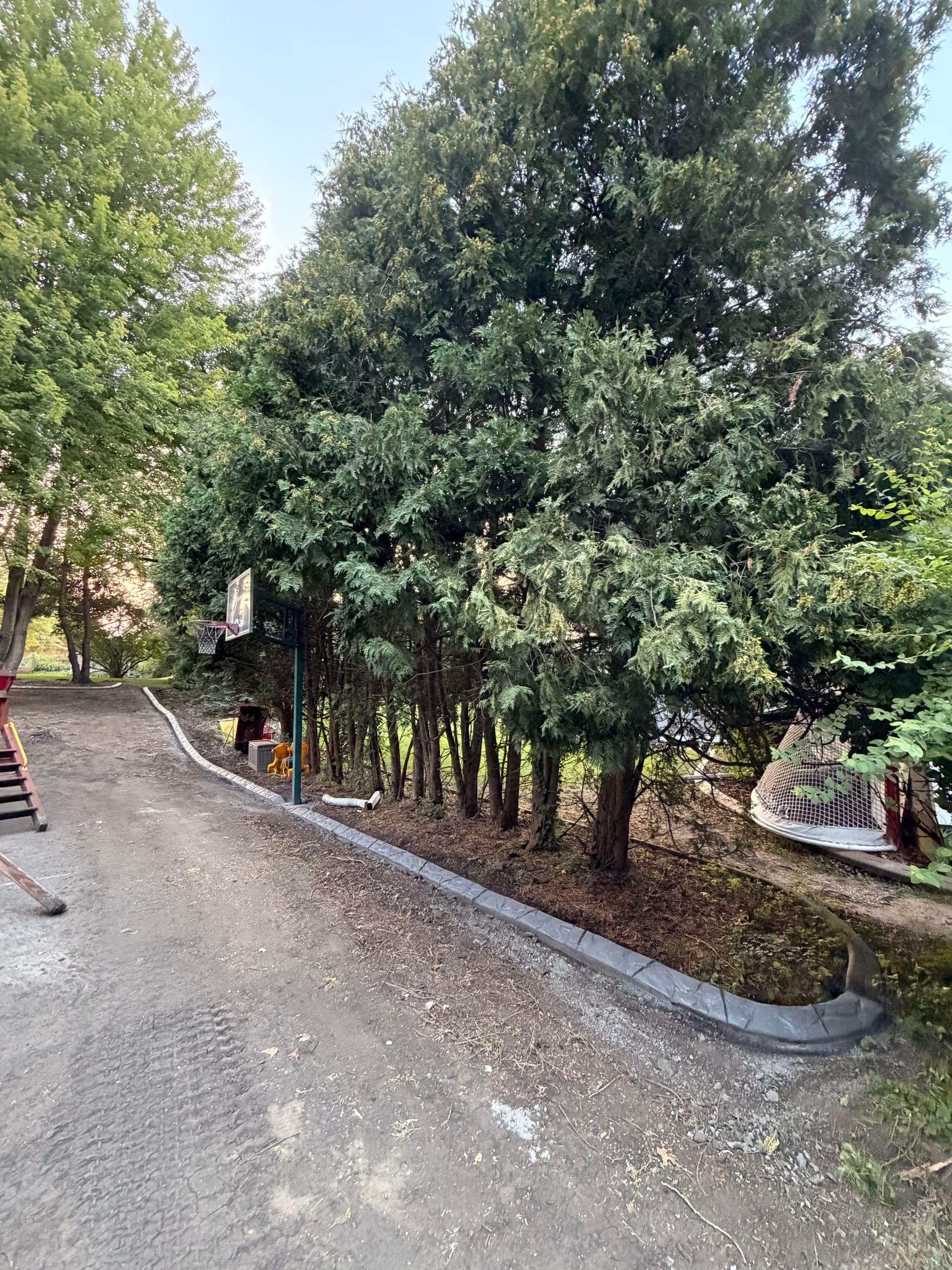Gallery photos for Concrete Curbing Install Gives Edina Yard Sharp, Lasting Definition: Image #5