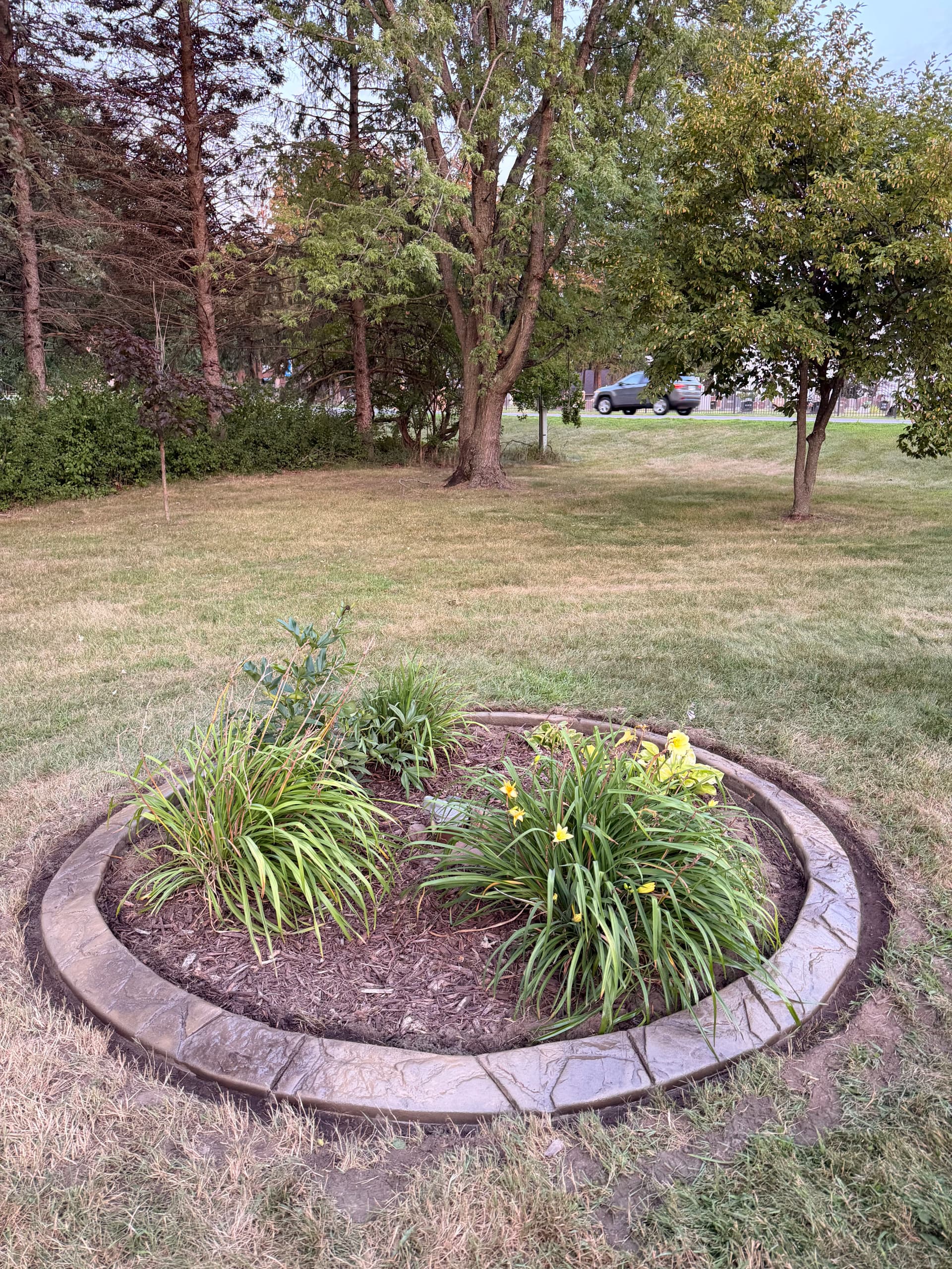Gallery photos for Concrete Curbing Install Wraps Up in Sauk Rapids MN: Image #3