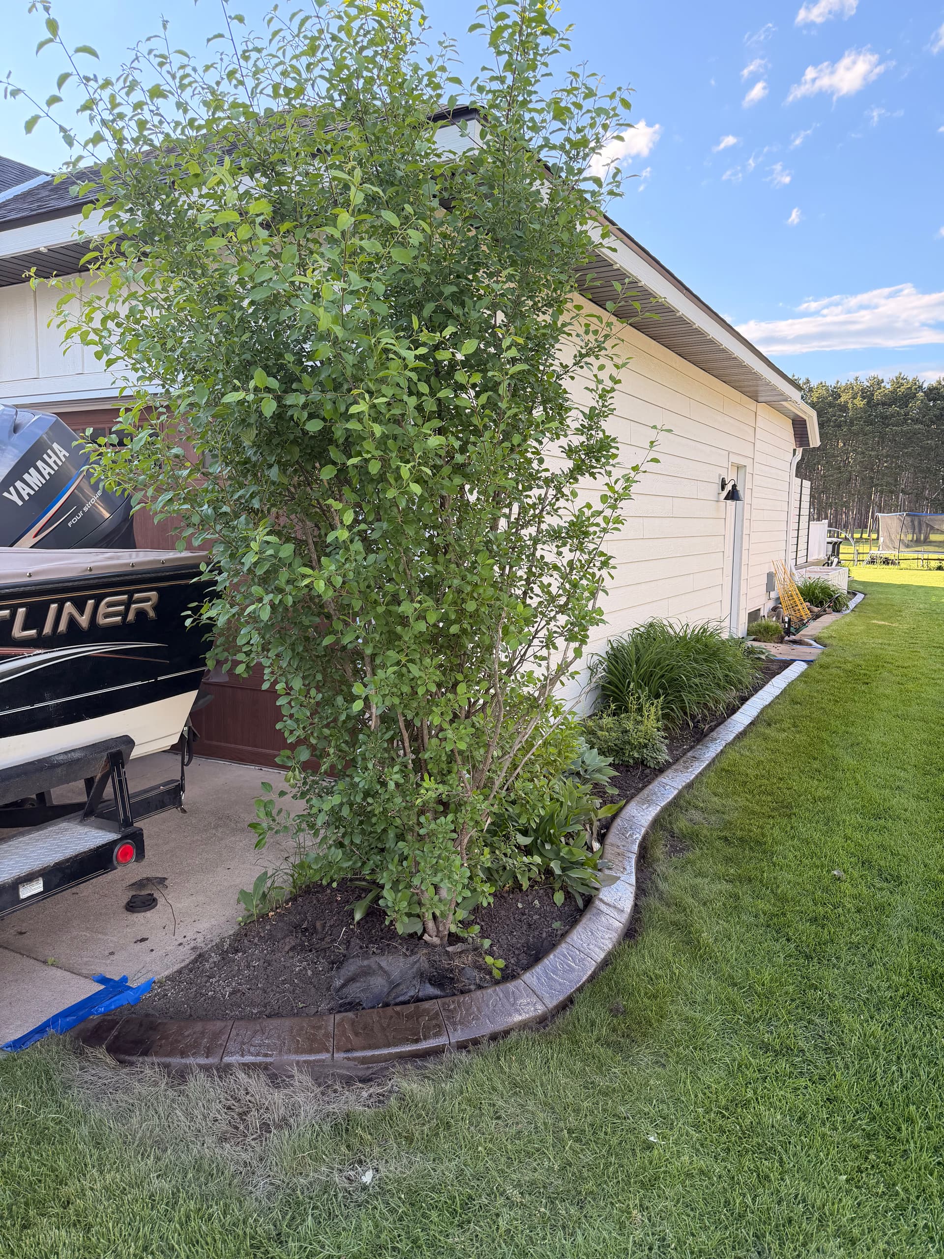 Gallery photos for Concrete Curbing with a Custom Color Blend in Rice MN: Image #5